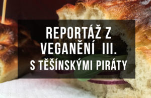Read more about the article Reportáž z pohodového VEGANĚNÍ III. s těšínskými Piráty