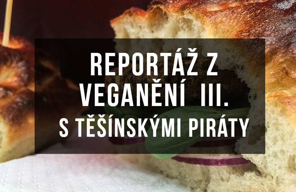 Právě si prohlížíte Reportáž z pohodového VEGANĚNÍ III. s těšínskými Piráty