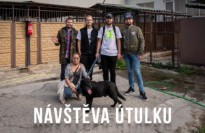 Read more about the article Venčení a předání darů v útulku pro opuštěné psy v Dětmarovicích