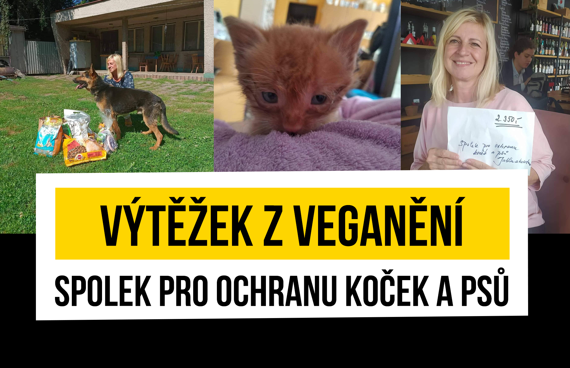 Přečtete si více ze článku Výtěžek z Veganění pro spolek pro ochranu koček a psů